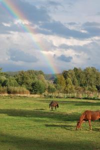 Fotografia z galérie ubytovania Agroturystyka Mętno 18 v destinácii Mętno