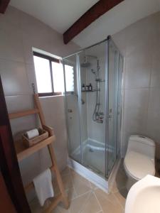a bathroom with a shower and a toilet at Hotel Tehuelche Natura in Coihaique