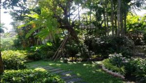 a garden with a tree and some plants at Viang Thapae Resort- SHA Extra Plus in Chiang Mai