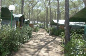 Zahrada ubytování Camping Free Beach