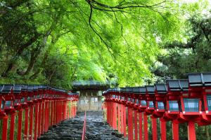 Cochien Imperial Garden外面的花园
