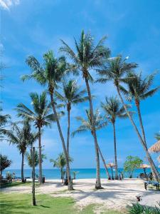 Playa de o cerca de este resort