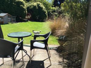 a cat standing in the grass next to a table and chairs at Hadley Close in Dunedin