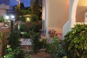 Um jardim em Alvi Studios