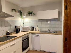 Appartements des 2 Têtes的厨房或小厨房
