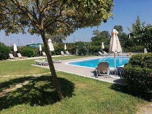 una piscina con sillas, sombrillas y un árbol en Corfu Anastasia, en Kontokali