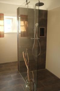 a shower with a glass door in a bathroom at Loftwohnung beim Winzer - grün & stadtnah - Hund willkommen in Langebrück