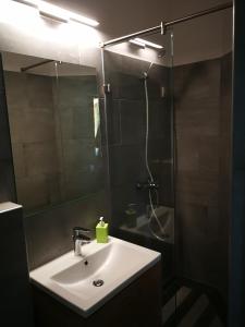 a bathroom with a sink and a shower with a mirror at Tornyos Panzió és Étterem in Matrafured