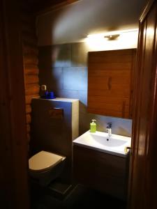 a small bathroom with a sink and a toilet at Tornyos Panzió és Étterem in Matrafured
