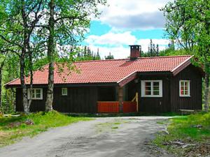 a small black house with a red roof at Three-Bedroom Holiday home in Nesbyen in Nesbyen