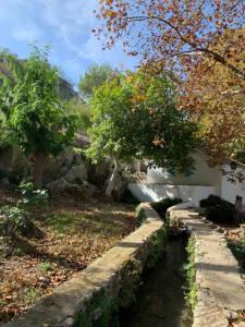 Zahrada ubytování Villa Remedios