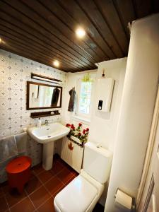 a small bathroom with a toilet and a sink at Hexenhäuschen Dreieichenhain in Dreieich +87 photos