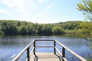 een houten steiger op een meer met bomen op de achtergrond bij Fewo Kasch in Binz +11 foto's