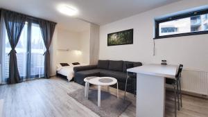 - un salon avec un canapé et une table dans l'établissement Apartment Mumlava Harrachov 1, à Harrachov