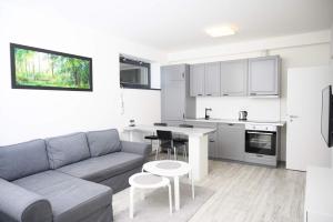 Apartment Mumlava Harrachov 1 tesisinde mutfak veya mini mutfak