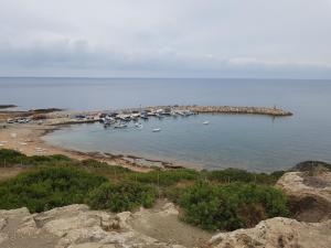 Gallery image of Villa Verdi: Luxury villa with private pool in Peyia