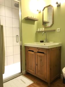 a bathroom with a sink and a shower at Hôtel l'Annexe in Moux-en-Morvan