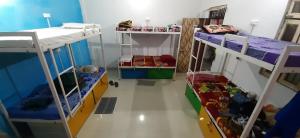 A bunk bed or bunk beds in a room at Zigzag Homestay