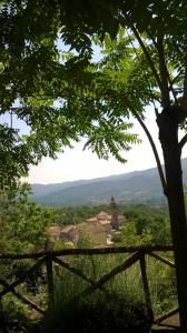 a view of a church from behind a tree at Ca' Rosmunda in Bagnone