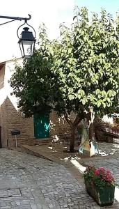Kép Casetta Nonna Augusta (Spello 9 km-Assisi 12 km) szállásáról Spellóban a galériában