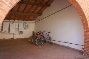 Jízda na kole v ubytování Fattoria Le Chianacce nebo okolí