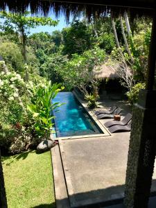 een zwembad in de tuin van een huis bij Alami Villa in Ubud