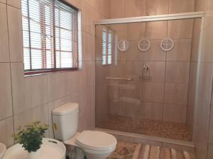 a bathroom with a shower with a toilet and a glass shower door at GUINEA FOWL in Plettenberg Bay
