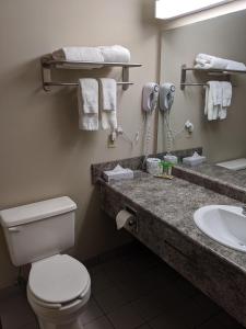 a bathroom with a toilet and a sink at Riviera Motor Inn in Saskatoon