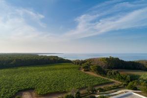an aerial view of a large field of crops at Masseria Mongiò dell'Elefante in Otranto