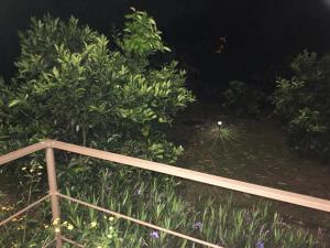 - Vistas al jardín por la noche con una valla en Posada Cañaveral, en Ujarrás