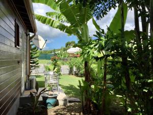 a garden view from the side of a house at Villa Saphir in Sainte-Anne