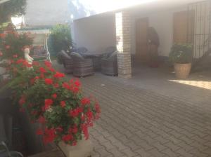 un patio con fiori rossi e mobili in un cortile di FeWo König a Milbitz