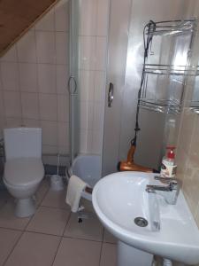 ein Bad mit einem Waschbecken und einem WC in der Unterkunft Ансол in Worochta