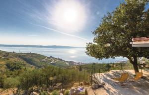 a view of a hill with a tree and chairs at Villa " Davorka" in Podgora