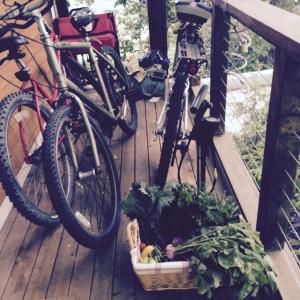 two bikes parked on a deck with a basket of vegetables at Baxter House Bed & Breakfast and Apartment in Ann Arbor