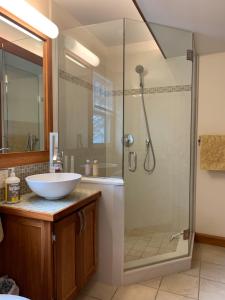 y baño con lavabo y ducha. en Baxter House Bed & Breakfast and Apartment en Ann Arbor