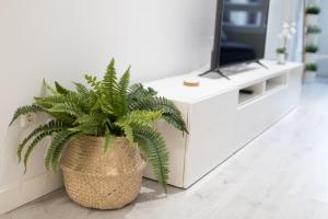 A television and/or entertainment centre at Belgrano Beach & Oldtown by Beauty Rentals
