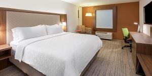 Holiday Inn Express & Suites - Greenville - Taylors, an IHG Hotel في غرينفيل: غرفة الفندق بسرير كبير ومكتب