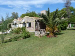 una casa con una palmera en el patio en Cabañas La Rosita en San Agustín de Valle Fértil