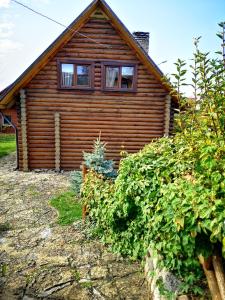 ein Holzhaus mit seitlichen Fenstern in der Unterkunft Vila Marta in Druskininkai