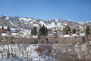 a small town in the snow with mountains in the background at Tamarack Townhomes - CoralTree Residence Collection in Snowmass Village