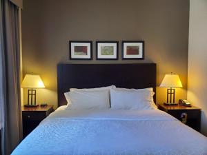 a bedroom with a large white bed with two lamps at Holiday Inn Express Hotel & Suites Mankato East, an IHG Hotel in Mankato