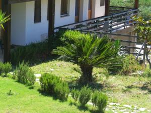 uma palmeira num quintal ao lado de um edifício em Centro di Turismo Equestre SHANGRILA' em Fluminimaggiore