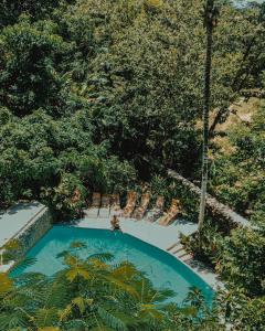 a person in a swimming pool with trees in the background at Dominican Tree House Village in El Valle
