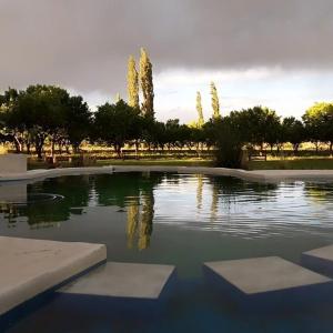 una piscina de agua con árboles en un parque en Entre Acequias en General Alvear