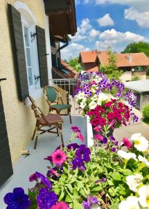 einen Balkon mit lila und weißen Blumen und einem Stuhl in der Unterkunft Hotel Garni Goldammer in Dießen am Ammersee