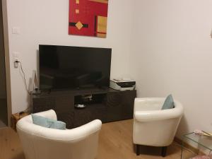 Chambre aux bord de l'Areuse的电视和/或娱乐中心