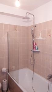 een badkamer met een douche en een bad bij Feriendomizil-Sauerland FeWo 3 in Medebach