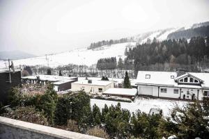 pokryte śniegiem miasto z budynkami i pokrytą śniegiem górą w obiekcie Feriehaus Maple Leaf w mieście Willingen