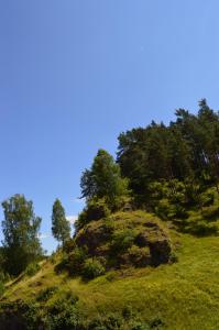 a grassy hill with trees on top of it at Natur-Aktiv-Hof Thiem in Pottenstein